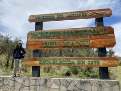 Aglaeactis cupripennis