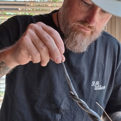 Cryptophis nigrescens