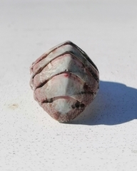 Rhyssoplax polita