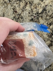 Penicillium digitatum