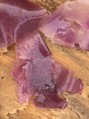 Cryptopleureae