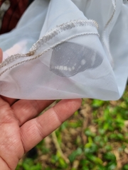 Euploea core corinna