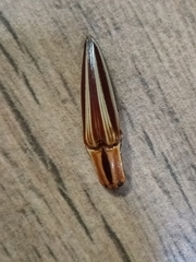 Semiotus serraticornis