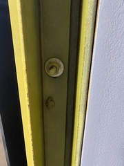 Hyla