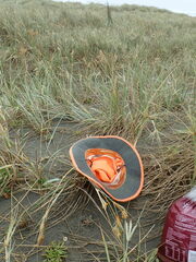 Paramarasmius mesosporus