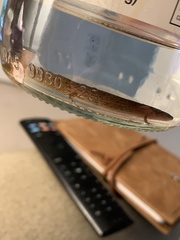 Pseudotriton montanus montanus