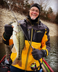 Micropterus punctulatus