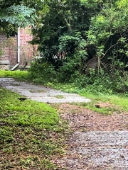 Galloperdix spadicea