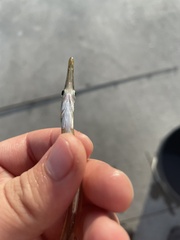 Aulorhynchus flavidus