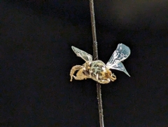 Cockerellia