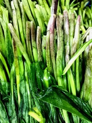 Allium ochotense