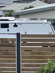 Malurus cyaneus cyaneus