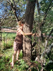 Strychnos cocculoides