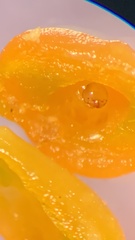 Smicronyx sculpticollis