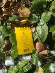 Pulmonaria