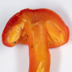 Hygrocybe miniata