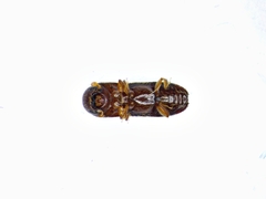 Xyleborinus saxesenii