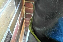 Philothamnus semivariegatus