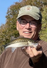 Micropterus henshalli