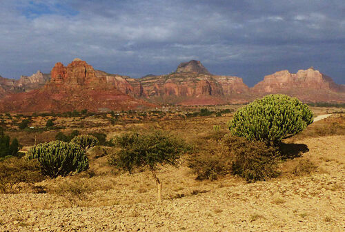 desert candle