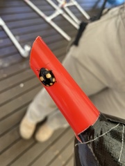 Paropsisterna sexpustulata