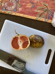 Citrus paridisi