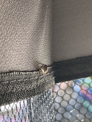 Tabanidae