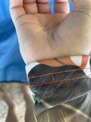 Pseudomyrmex simplex