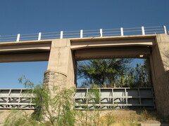 Hirundinea ferruginea