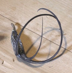 Proboscidea sabulosa