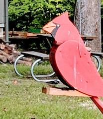 Poecile carolinensis