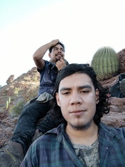 Ferocactus emoryi emoryi