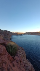 Ferocactus emoryi emoryi