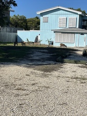 Odocoileus virginianus clavium