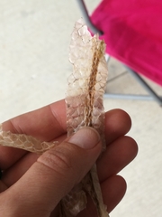 Serpentes