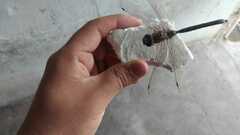 Rhionaeschna multicolor