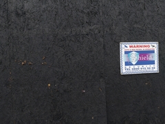 Deconica horizontalis