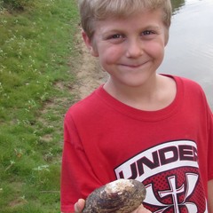 Uniomerus tetralasmus