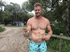 Chlamydosaurus kingii