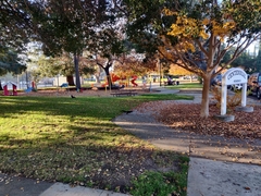 Sciurus carolinensis