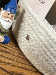 Epiphyas postvittana