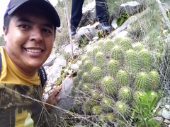 Echinocereus zapalinamensis