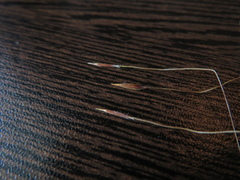 Austrostipa semibarbata