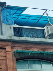 Callosciurus erythraeus