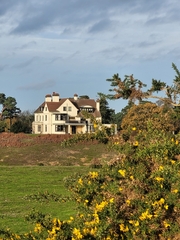 Ulex