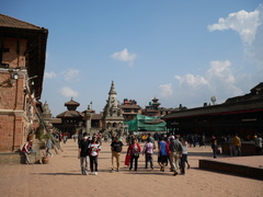 Galinsoga quadriradiata