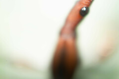 Brentidae