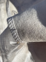 Itoplectis conquisitor