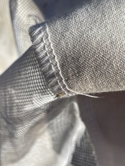 Itoplectis conquisitor