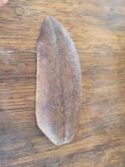 Bignonieae